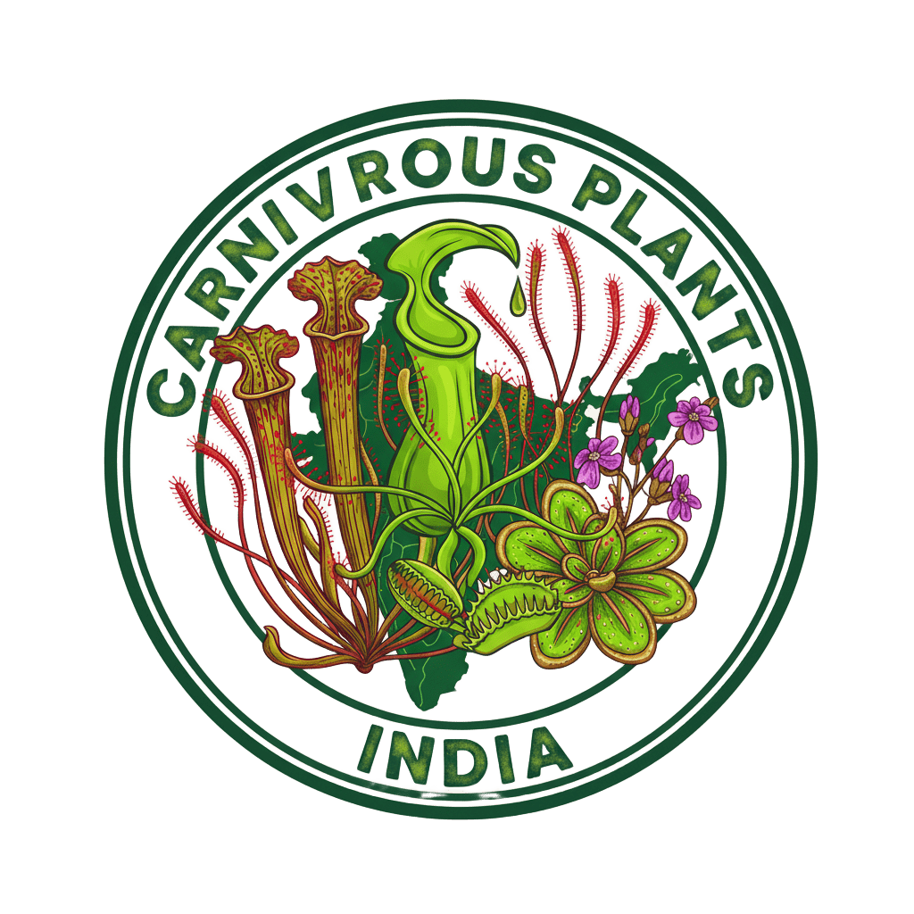 Carnivorous Plants India