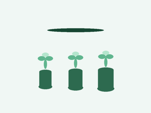 Beginner Starter Kit — 3 Species Bundle