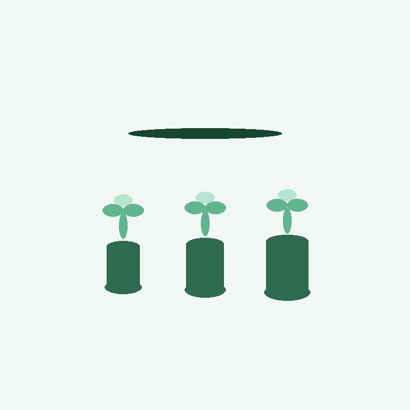 Beginner Starter Kit — 3 Species Bundle