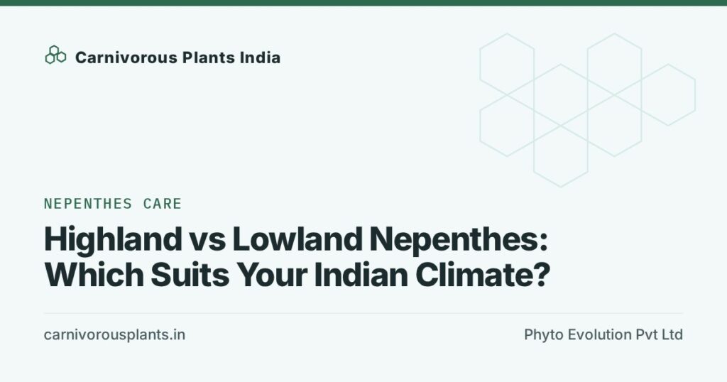 Highland vs Lowland Nepenthes: Which Suits Your Indian Climate?