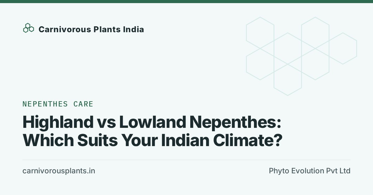 Highland vs Lowland Nepenthes: Which Suits Your Indian Climate?