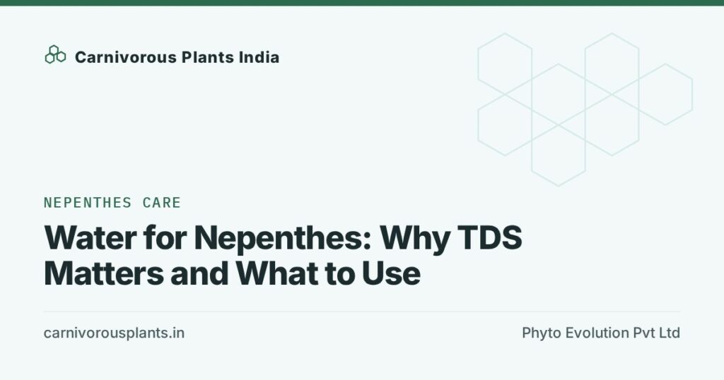 Water for Nepenthes: Why TDS Matters and What to Use