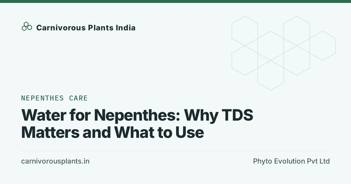 Water for Nepenthes: Why TDS Matters and What to Use
