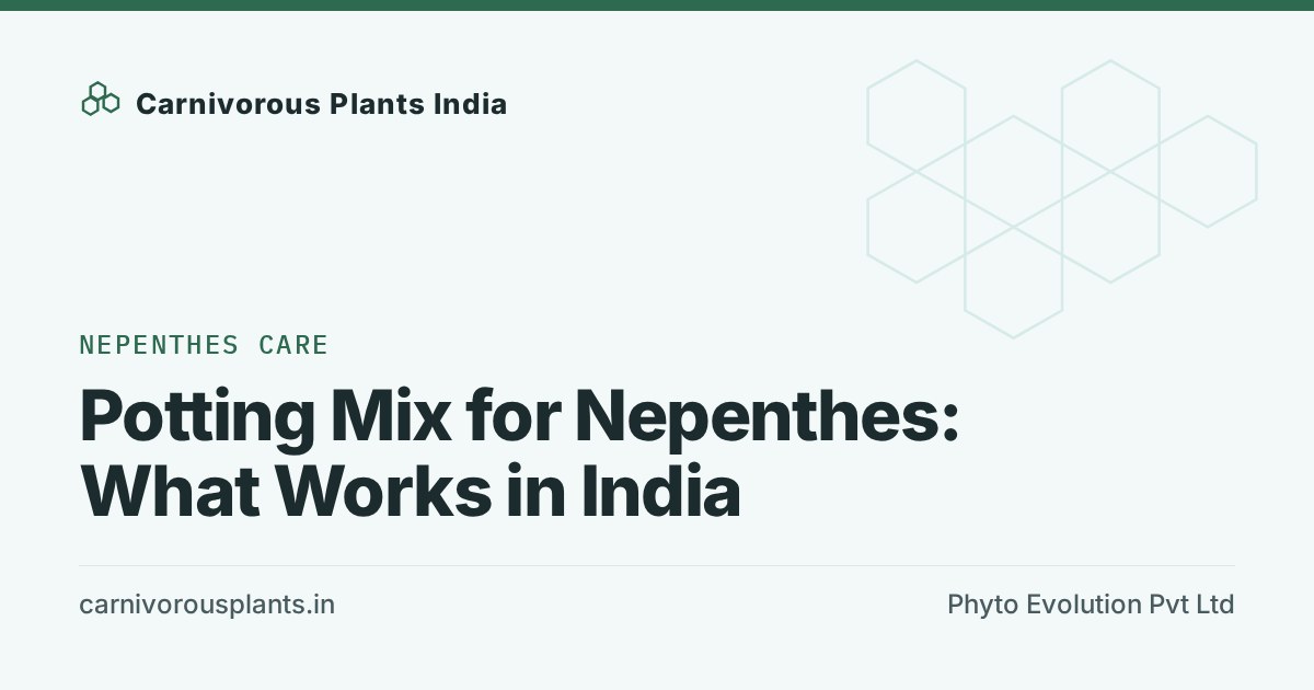 Potting Mix for Nepenthes: What Works in India