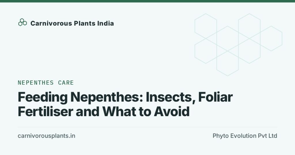 Feeding Nepenthes: Insects, Foliar Fertiliser and What to Avoid