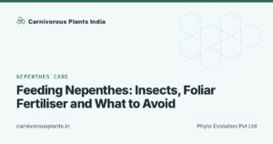 Feeding Nepenthes: Insects, Foliar Fertiliser and What to Avoid