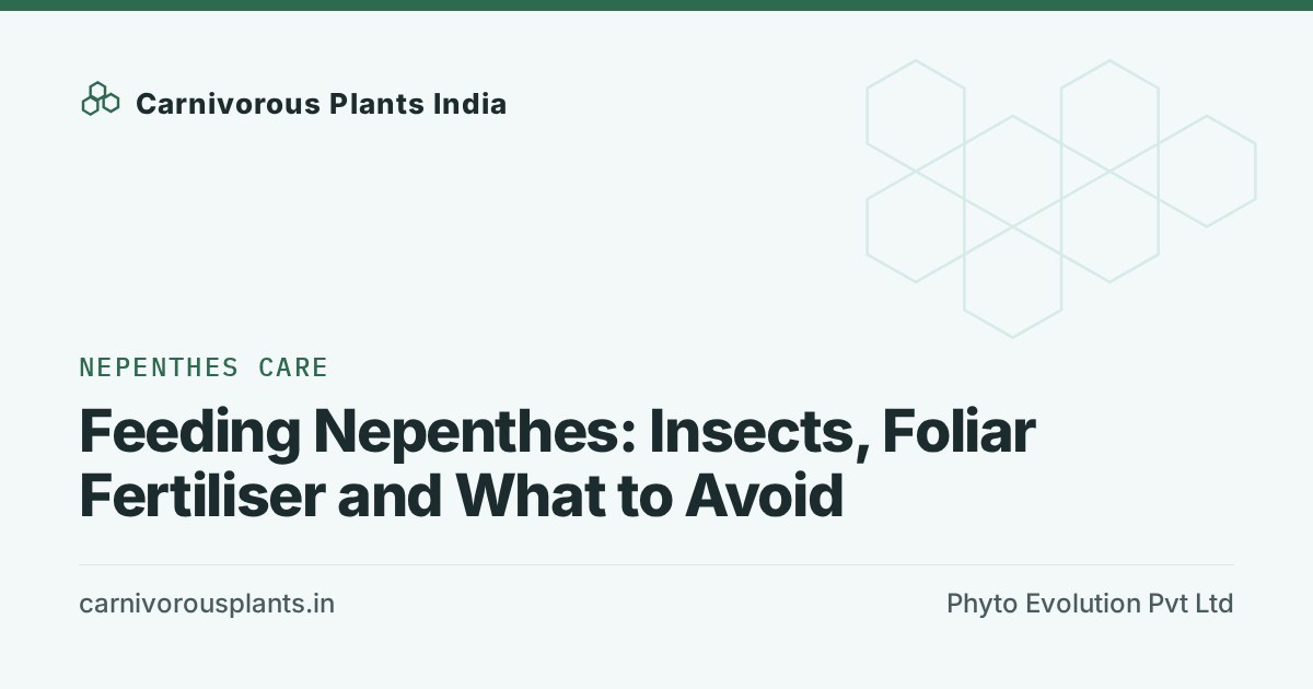Feeding Nepenthes: Insects, Foliar Fertiliser and What to Avoid