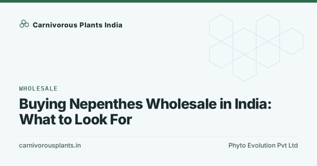 Buying Nepenthes Wholesale in India: What to Look For